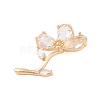 Brass Glass Pendants KK-B100-041G-03-2