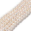 Natural Cultured Freshwater Pearl Beads Strands PEAR-E018-12-1
