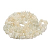 Natural White Moonstone Beads Strands G-P332-01-5
