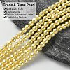 Grade A Glass Pearl Beads HY-J001-4mm-HX013-3