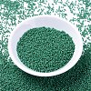 MIYUKI Delica Beads SEED-J020-DB2127-2