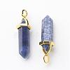 Natural Sodalite Double Terminated Pointed Pendants G-G902-B14-1