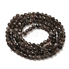 Natural Silver Sheen Obsidian Beads Strands G-E608-A02-B-2