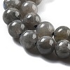 Natural Labradorite Beads Strands G-S333-6mm-035-01-3