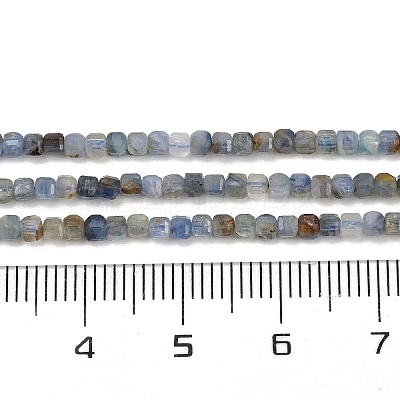 Natural Kyanite Beads Strands G-B088-E24-02-1