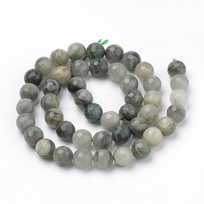 Natural Green Line Jasper Beads Strands X-G-Q462-102-8mm-1