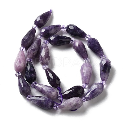 Natural Lepidolite/Purple Mica Stone Beads Strands G-B028-A06-1