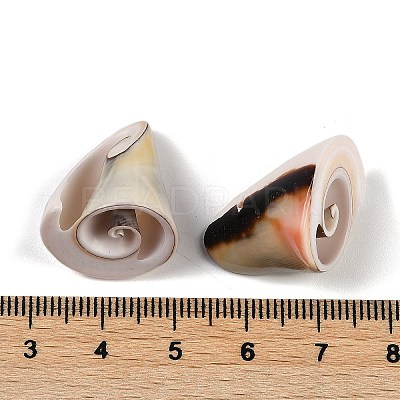 Natural Shiva Eye Shell Pendants SHEL-K009-17E-1