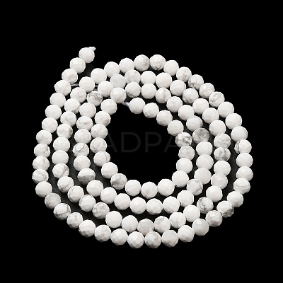 Natural Howlite Beads Strands G-E608-A01-B-1