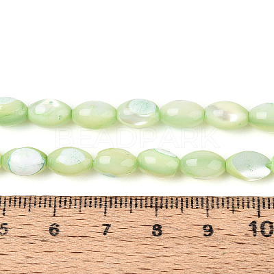 Natural Trochus Shell Beads Strands SHEL-K006-19-01C-1