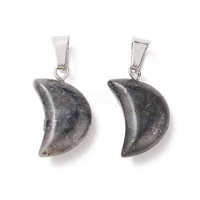 Natural Larvikite Pendants G-Q369-16-1