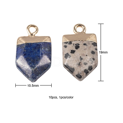 10Pcs 10 Style Natural Gemstone Pointed Pendants G-LS0002-04-1
