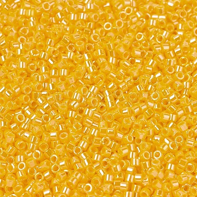 MIYUKI Delica Beads X-SEED-J020-DB1562-1