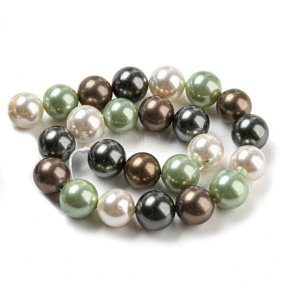 Polished Shell Pearl Bead Strands BSHE-F013-07D-1