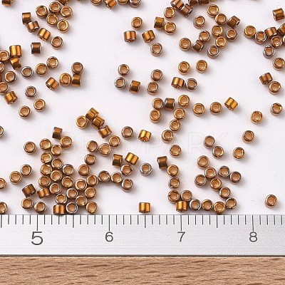 MIYUKI Delica Beads X-SEED-J020-DB0505-1