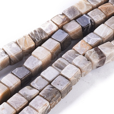 Natural Fossil Coral Beads Strands G-D0020-13A-1