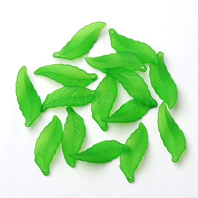 Transparent Acrylic Pendants FACR-R003-1-1