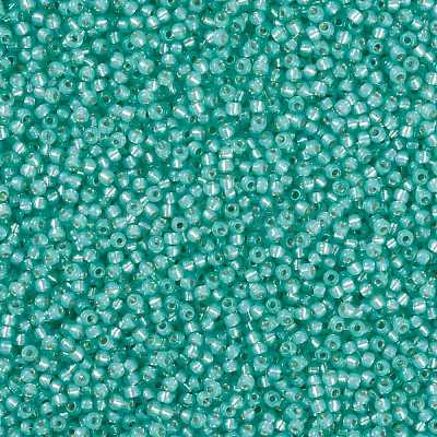 MIYUKI Round Rocailles Beads X-SEED-G008-RR0571-1