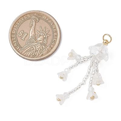 Glass Seed Beaded Pendants PALLOY-MZ01230-02-1