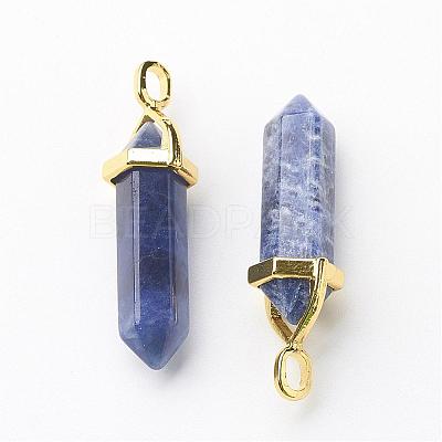 Natural Sodalite Double Terminated Pointed Pendants G-G902-B14-1
