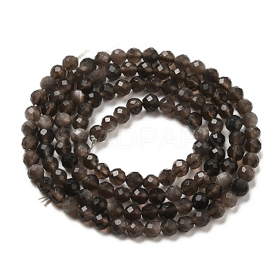 Natural Silver Sheen Obsidian Beads Strands G-E608-A02-B-1