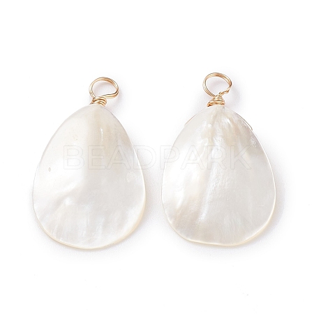 Natural Trochid Shell/Trochus Shell Pendants X-PALLOY-JF01393-1
