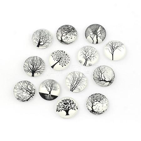 Glass Cabochons GGLA-Q041-25mm-DM-1