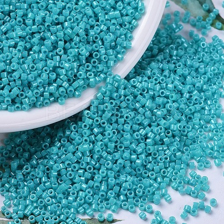 MIYUKI Delica Beads SEED-MY11-DB0658-1