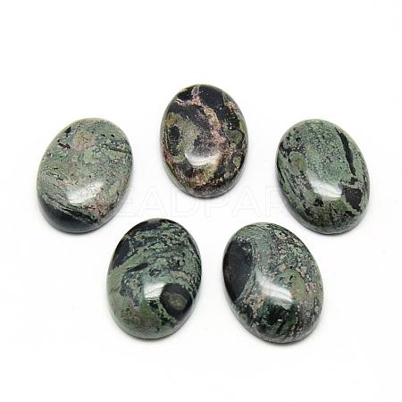 Natural Kambaba Jasper Cabochons G-R450-01-1