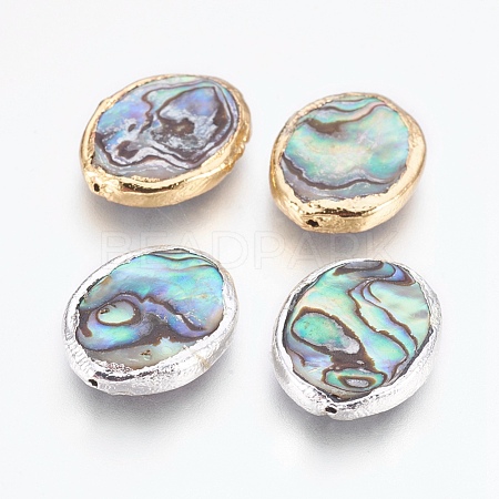 Natural Abalone Shell/Paua Shell Beads G-O168-13-1