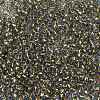 TOHO Round Seed Beads X-SEED-TR08-0757-2