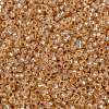 MIYUKI Round Rocailles Beads X-SEED-G009-RR0580-2
