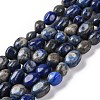 Natural Lapis Lazuli Beads Strands G-G146-A34-01-1