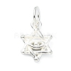 925 Sterling Silver Star of David with Eye Charms STER-M119-11S-1