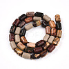 Natural Picasso Jasper/Polychrome Jasper Beads Strands G-N346-01B-05-3