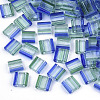 2-Hole Glass Seed Beads X-SEED-S023-38C-06-1