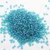 8/0 Glass Seed Beads SEED-J012-F8-119-2
