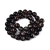 Natural Biotite Beads Strands G-Q616-01D-3