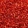 Glass Seed Beads SEED-S042-04B-10-3