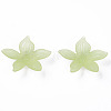 Transparent Acrylic Beads MACR-S373-127-D06-4