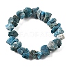 Natural Apatite Beads Strands G-I283-F23-3