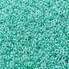 MIYUKI Round Rocailles Beads SEED-X0055-RR0536-3