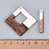 12Pcs 6 Styles Opaque Resin & Walnut Wood Pendants RESI-N053-22-3