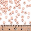 6/0 Glass Seed Beads SEED-T005-14-B02-4