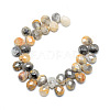 Natural Crazy Agate Gemstone Beads Strands X-G-T006-10-2