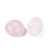 Natural Rose Quartz European Beads G-N359-17A-09-2