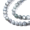 Natural Freshwater Shell Beads Strands BSHE-T009A-01K-3
