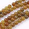 Natural Crackle Agate Stone Bead Strands X-G-R193-16-8mm-1