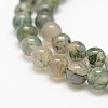 Natural Moss Agate Beads Strands X-G-F453-6mm-3