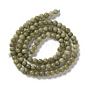 Natural Alashan Agate Beads Strands G-P530-B05-01-3